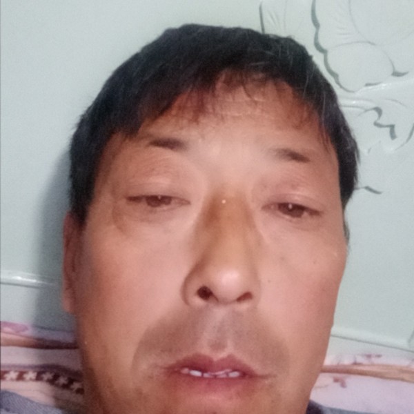 龙猫凝眸轻松的照片