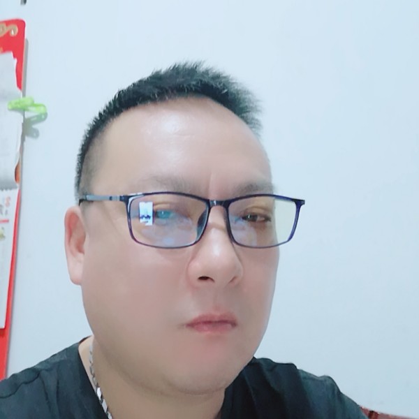 光亮爱恋大象的照片