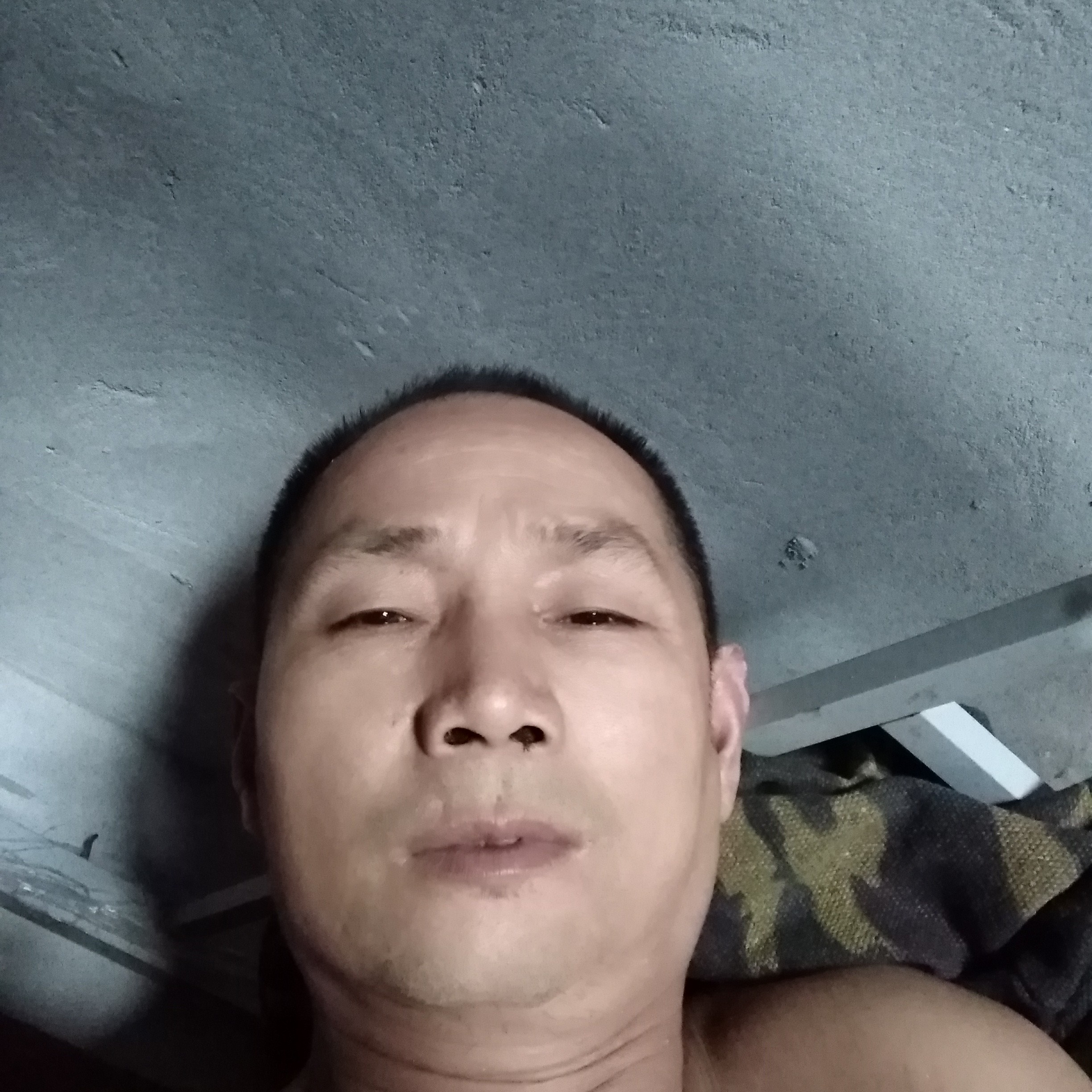 朴素放弃蚂蚁的照片