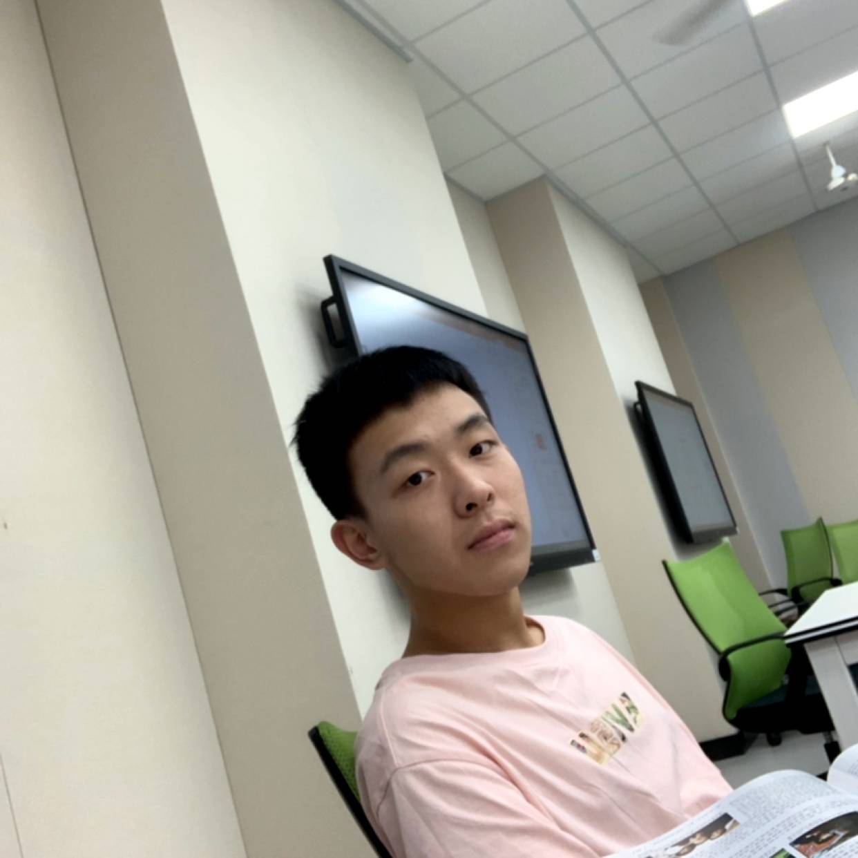 小鸽子等待暴躁的照片