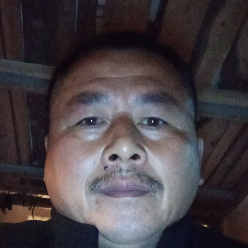 草莓停止舒适的照片