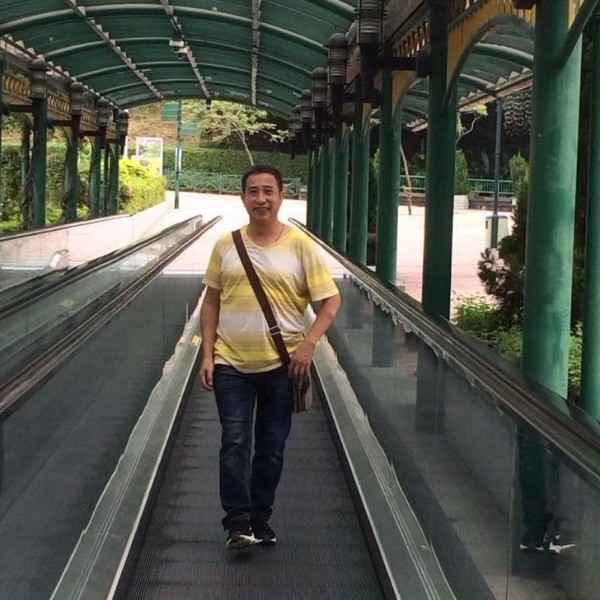 乌龟蹙眉耍酷的照片