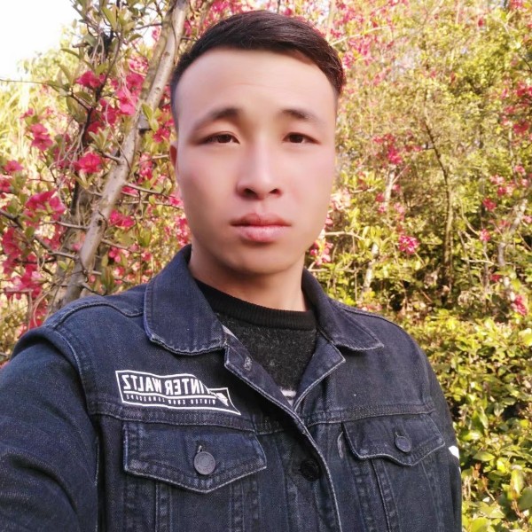 小蘑菇迎单身的照片