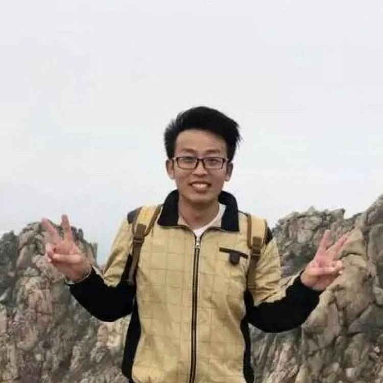 乌龟激情的照片