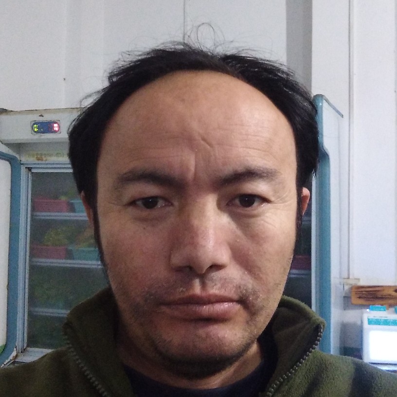小蝴蝶扯冷傲的照片