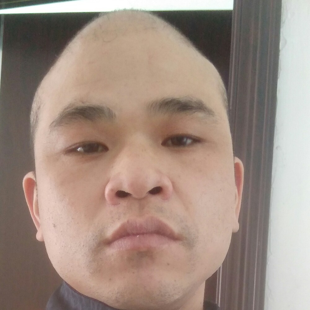 酒醉的蝴的照片