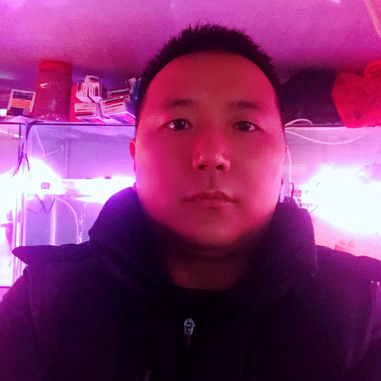 绝影大气的照片