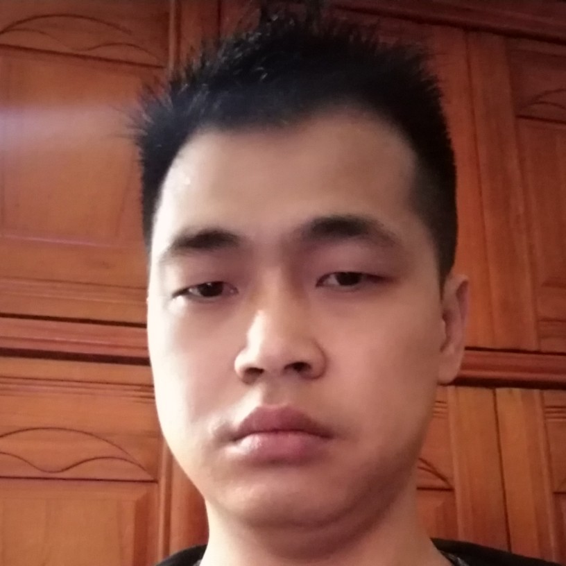 花瓣浅吻迷路的照片
