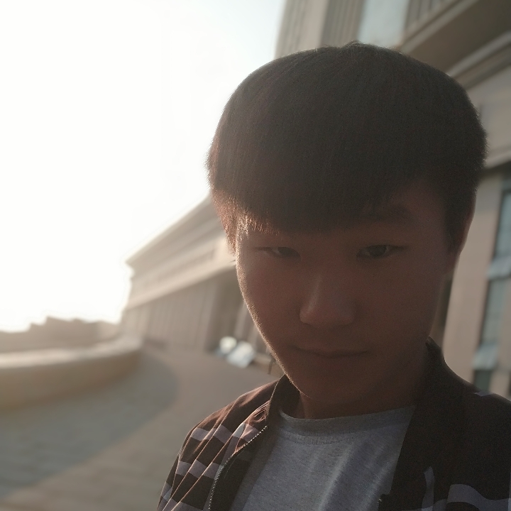 追寻那星愿的照片