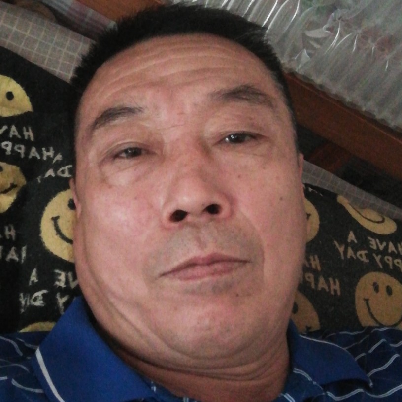 复杂的海燕的照片