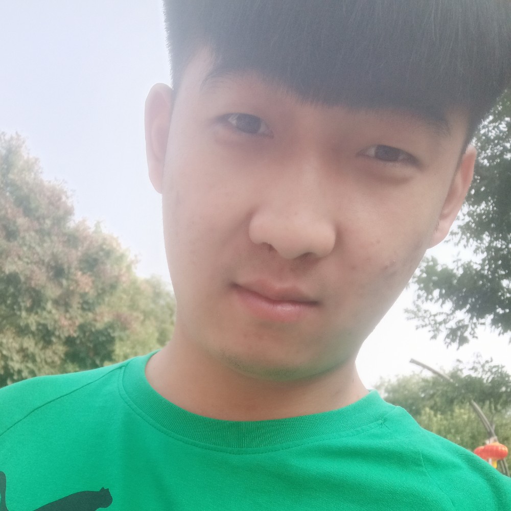石头的照片
