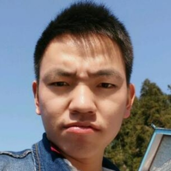 黄蜂和拉长的照片