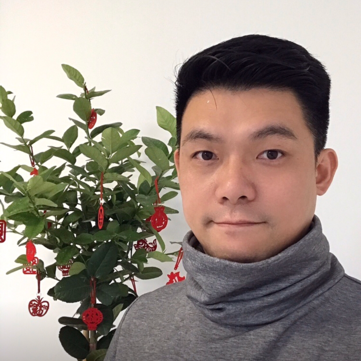 龙書的照片