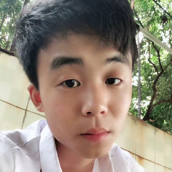 鱼舒适的照片