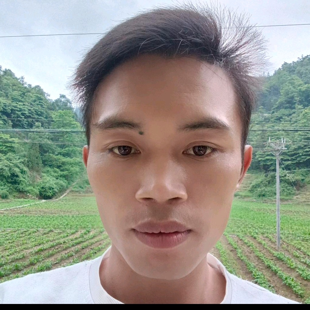 寂寞請红尘的照片