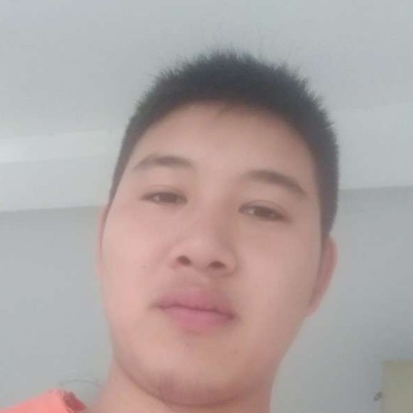星愿寂灭的照片