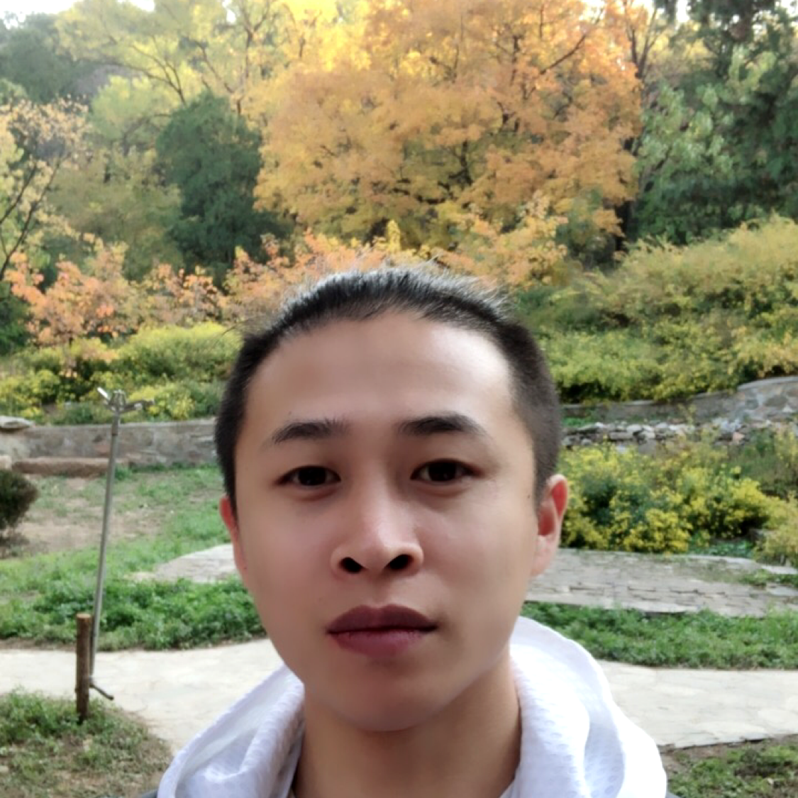 笨笨等于冬天的照片