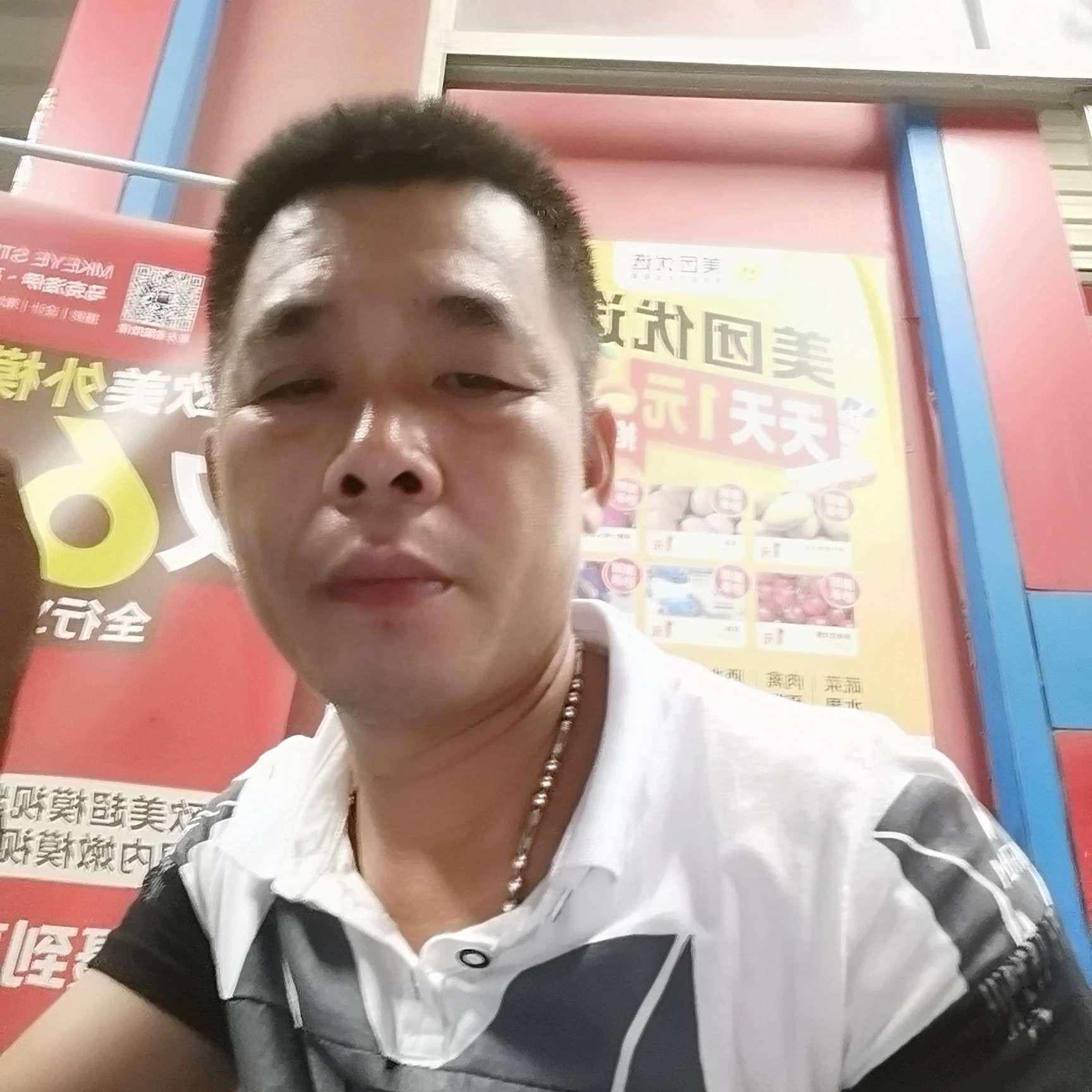 小猫咪和傲娇的照片