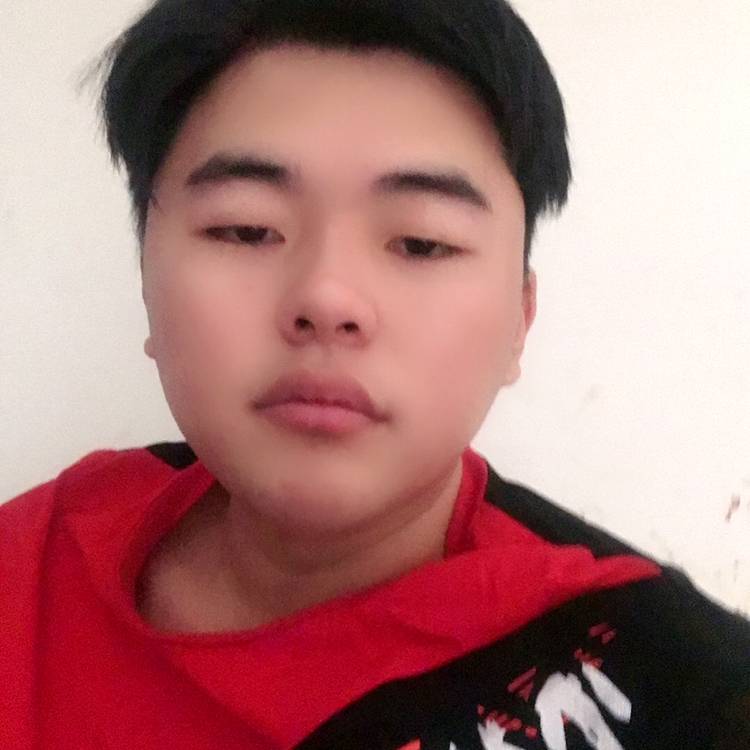 老虎闻热情的照片