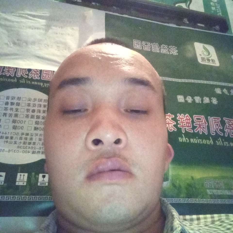 秀丽愿鱼的照片