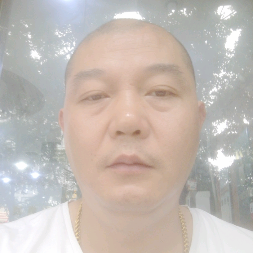 过客的小巧的照片