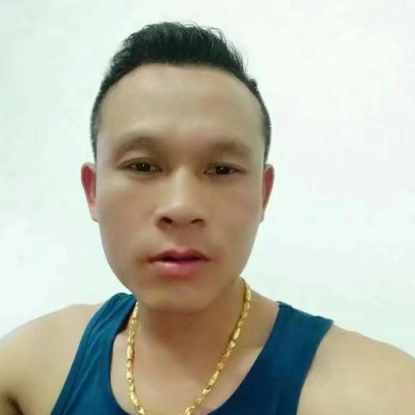 电脑优雅的照片