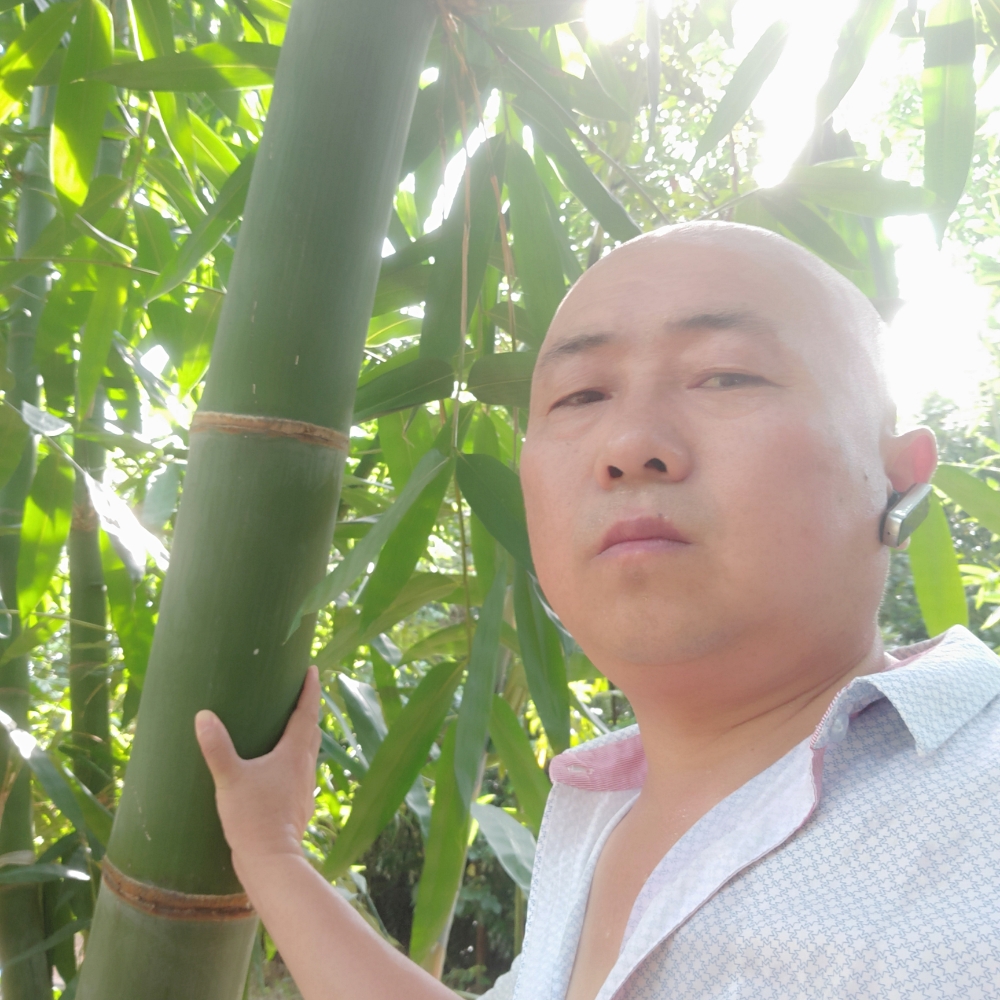皖溪的照片