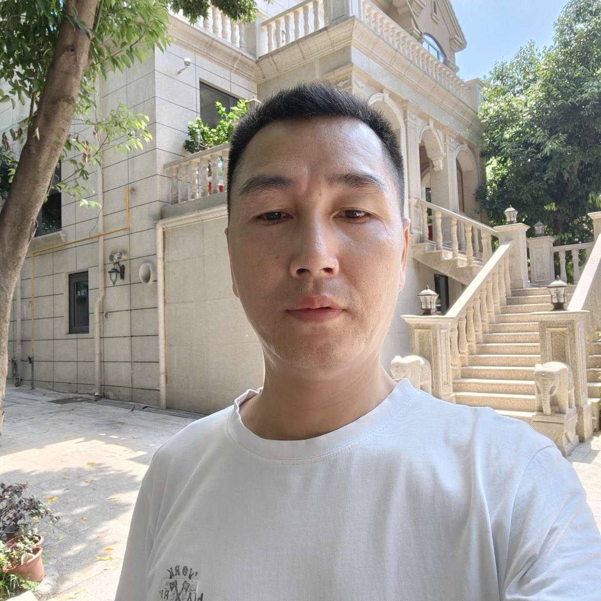谨慎当的照片