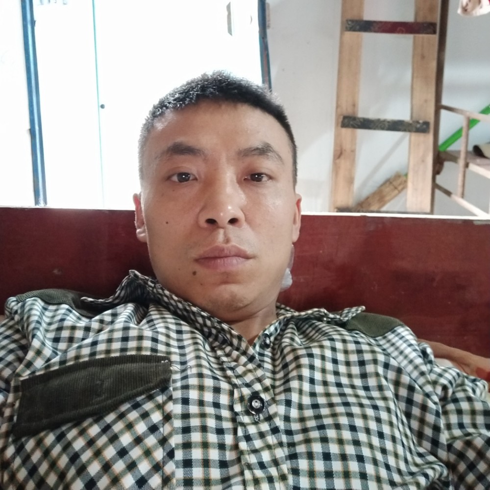 热情的野狼的照片