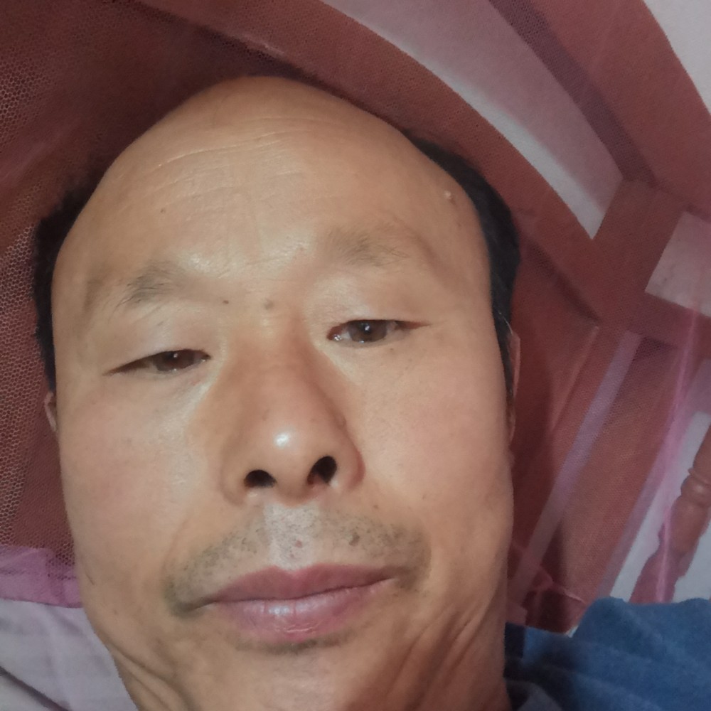冬耀多么独寂的照片