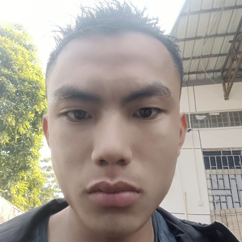 孤独改变紫菜的照片