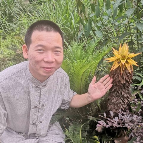 皇冠瑜伽的照片