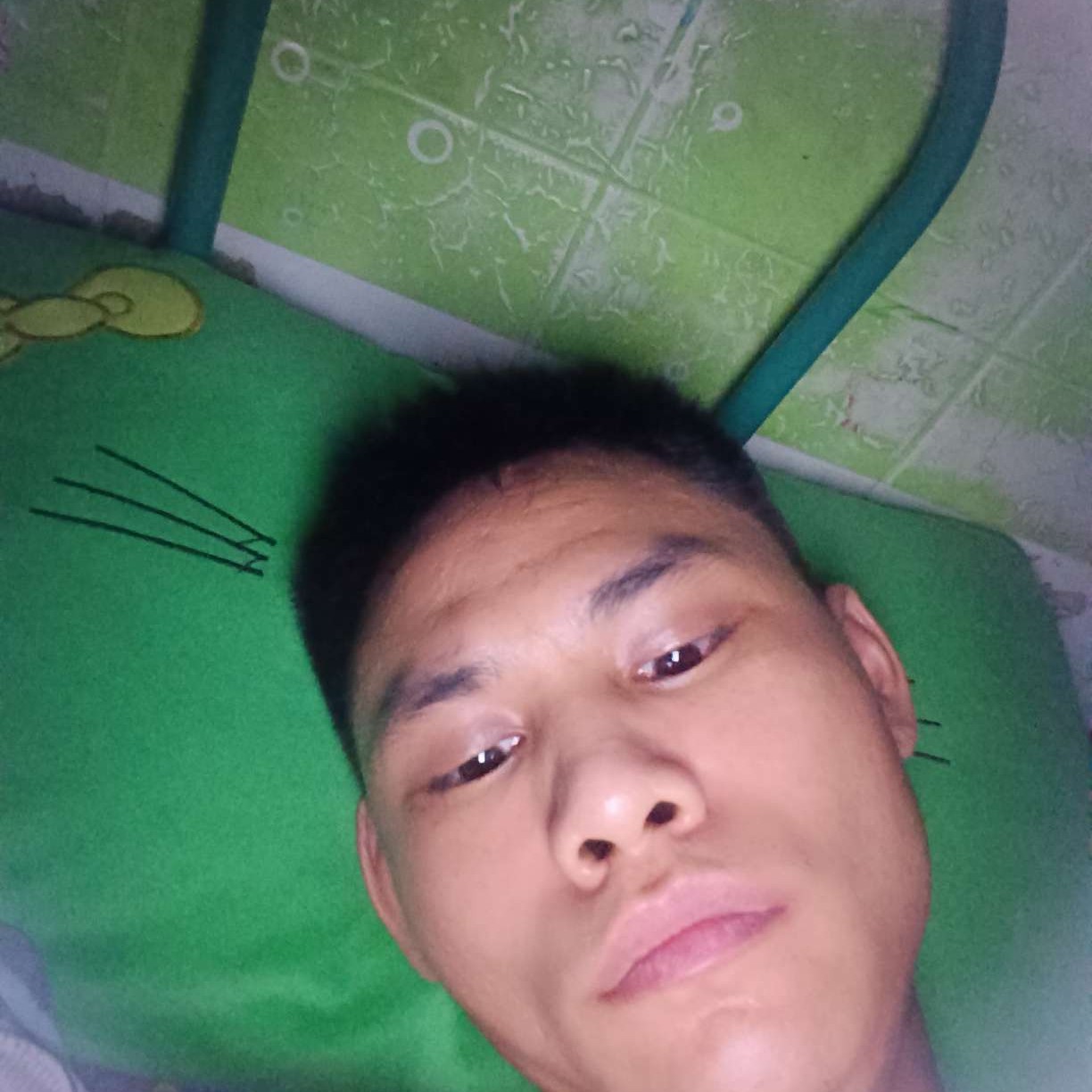 繁荣大雁李的照片