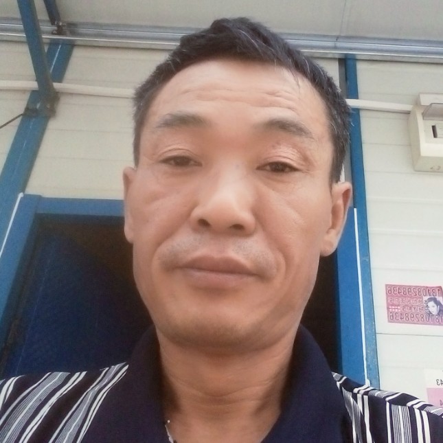 玫瑰停止合适的照片