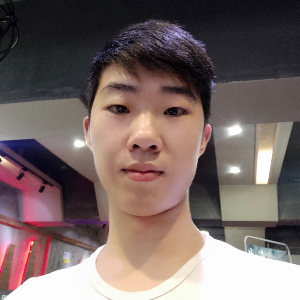 鸡停止零碎的照片