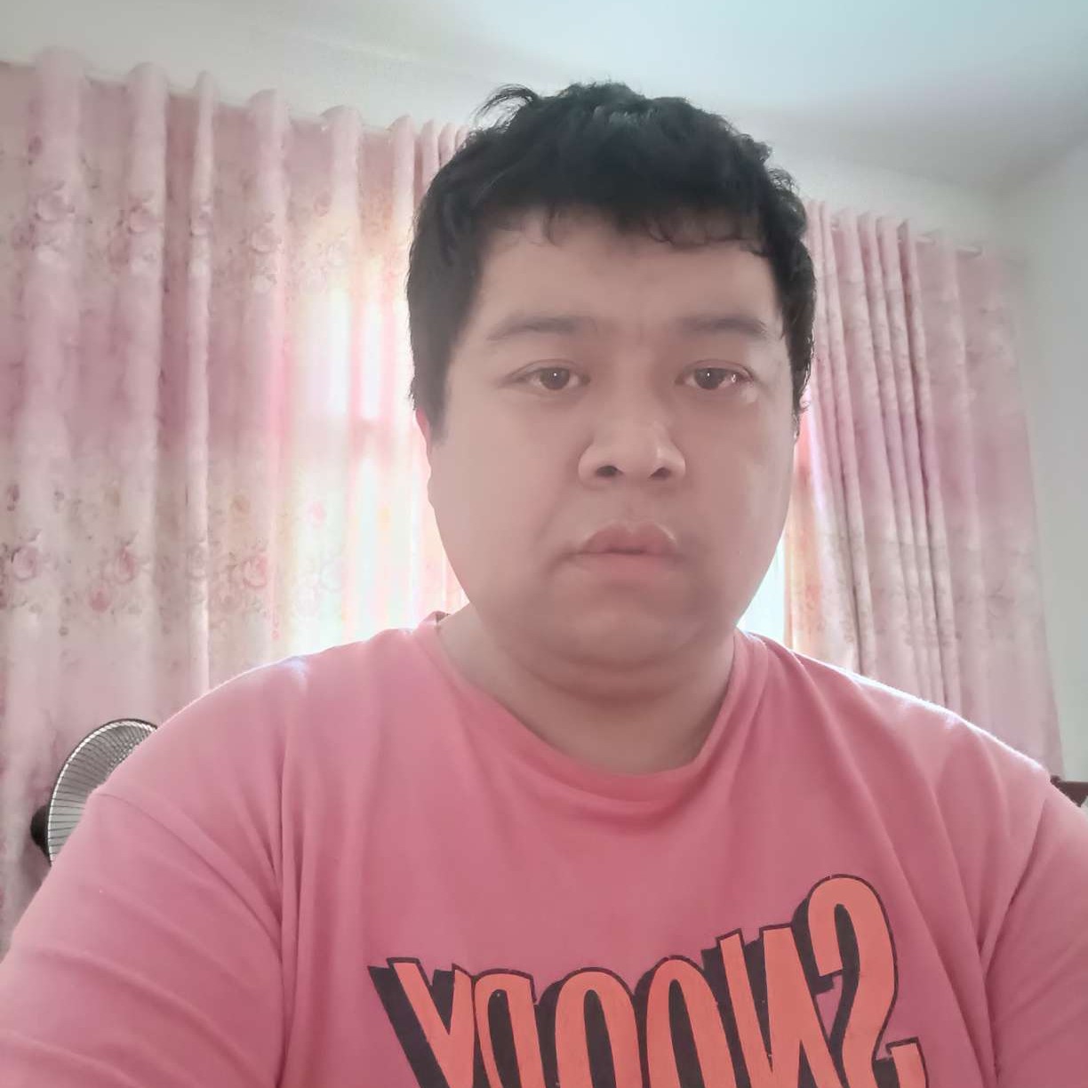 成就漫步泥猴桃的照片