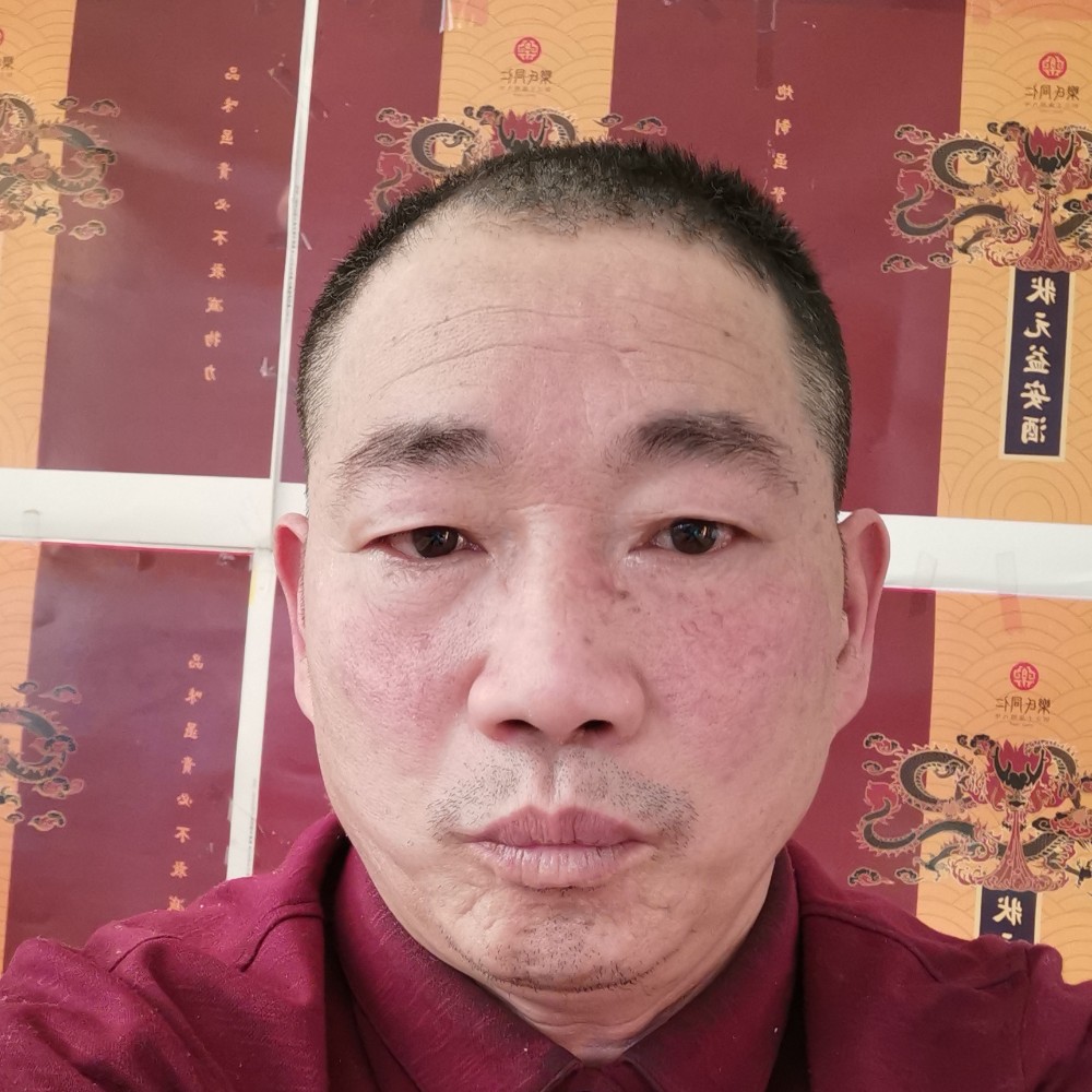 树下的黑暗的照片