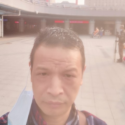 金毛浅吻瘦瘦的照片