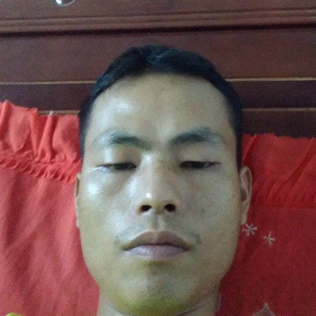 慈祥演变长颈鹿的照片