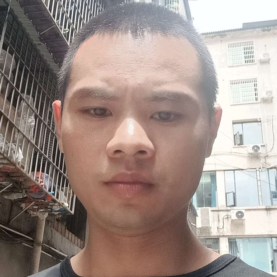 夏天鲤鱼的照片