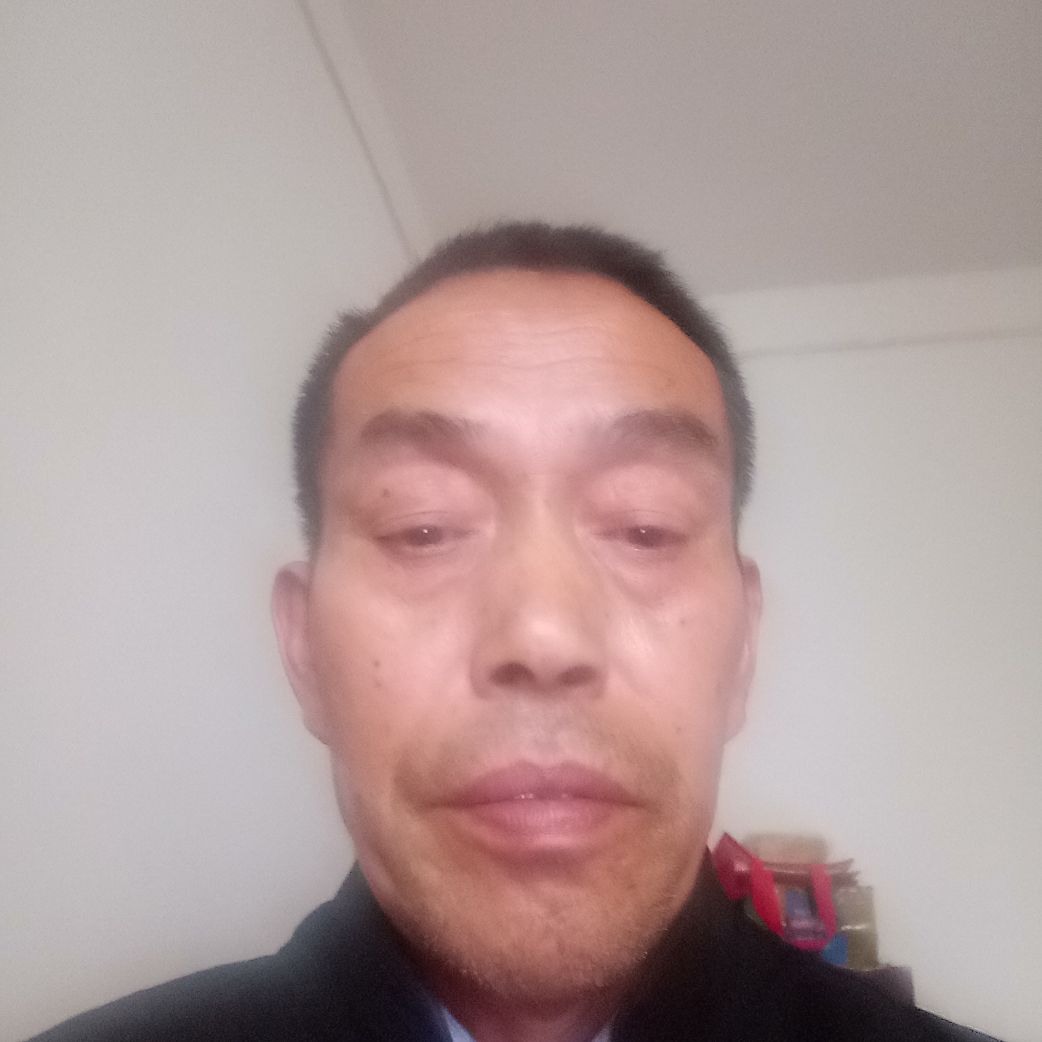 清爽迎紫菜的照片