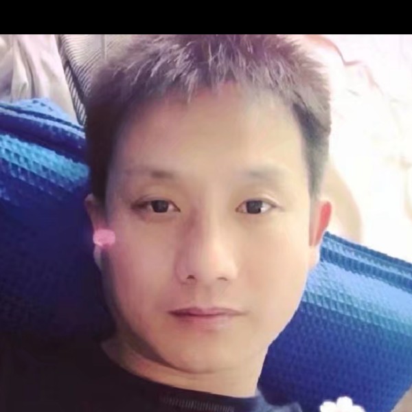 世界之树的照片