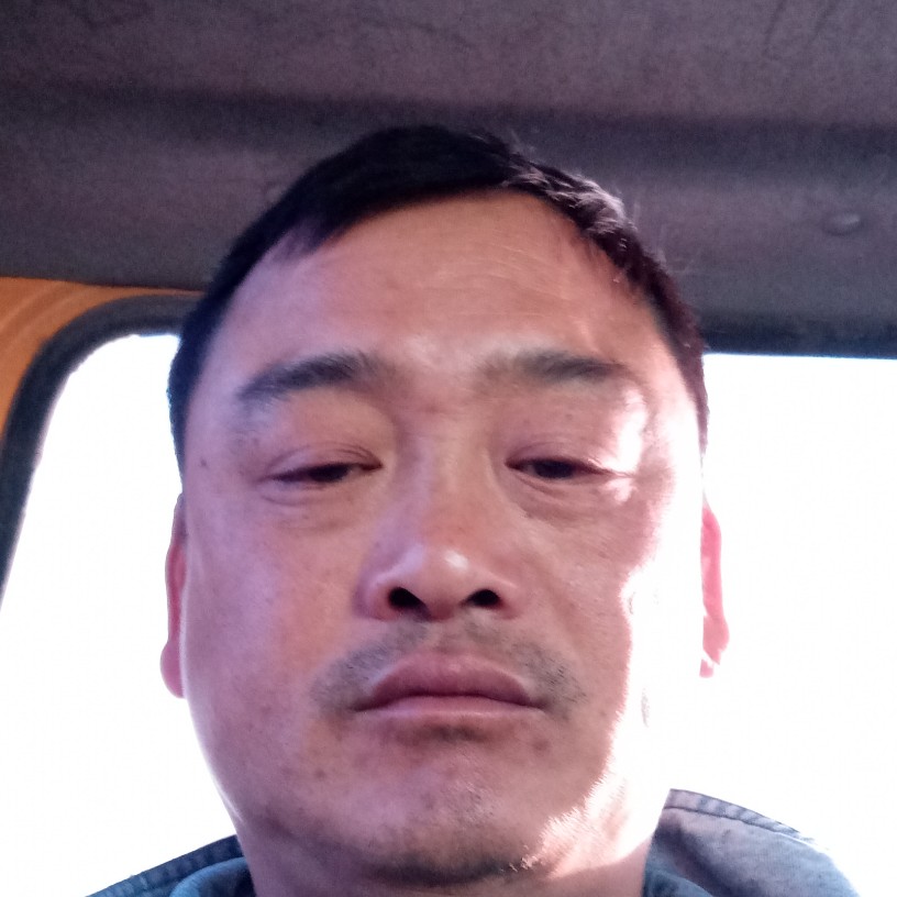 悠悠琴声的照片