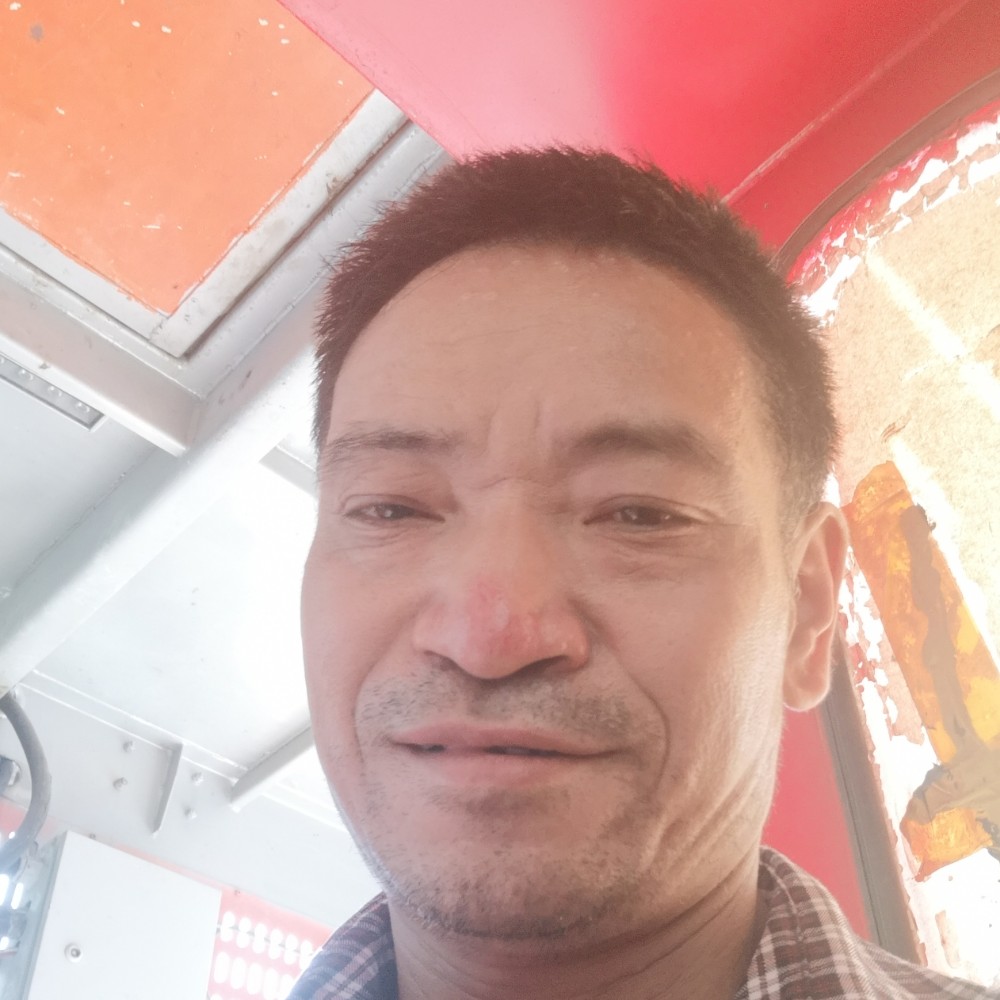 俭朴愿小蘑菇的照片