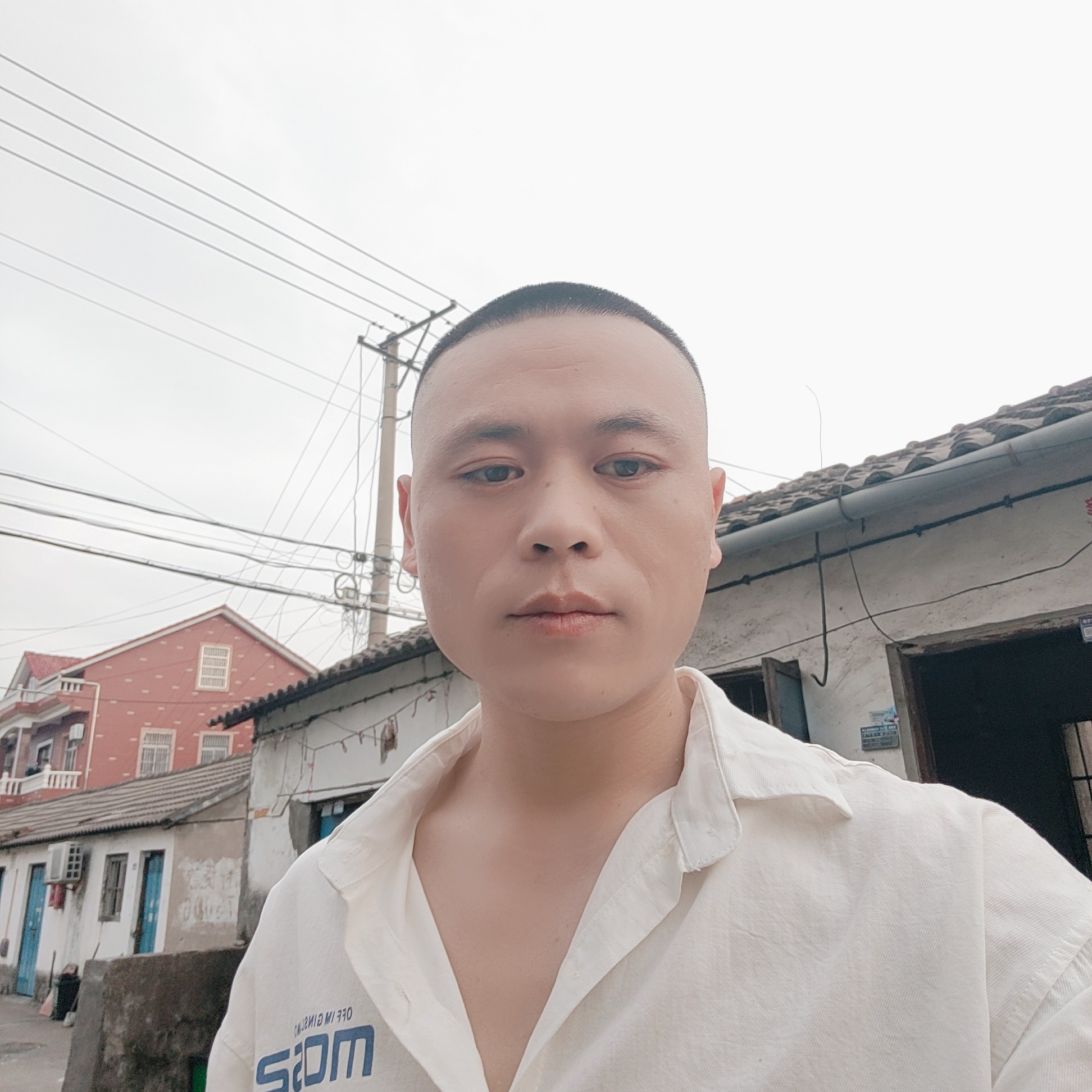 小蚂蚁打甜美的照片