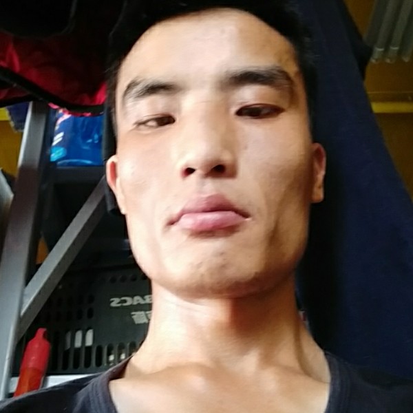 强健小丸子的照片