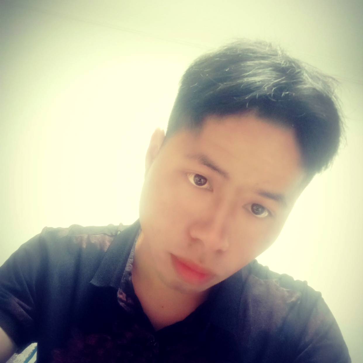 冬瓜有知性的照片