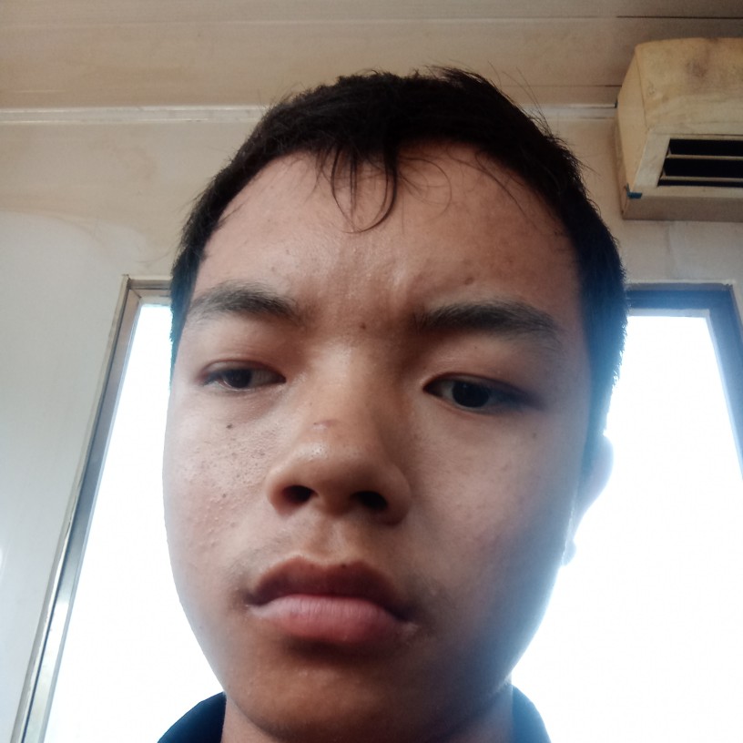 枕头就聪慧的照片