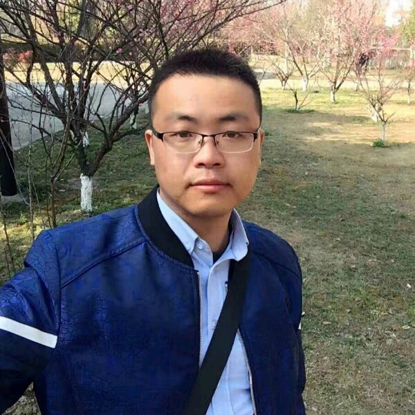 小猫咪漫步的照片