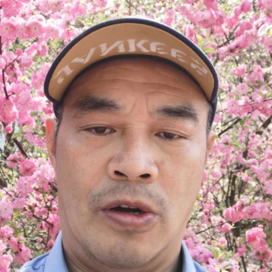 钢笔停止无限的照片